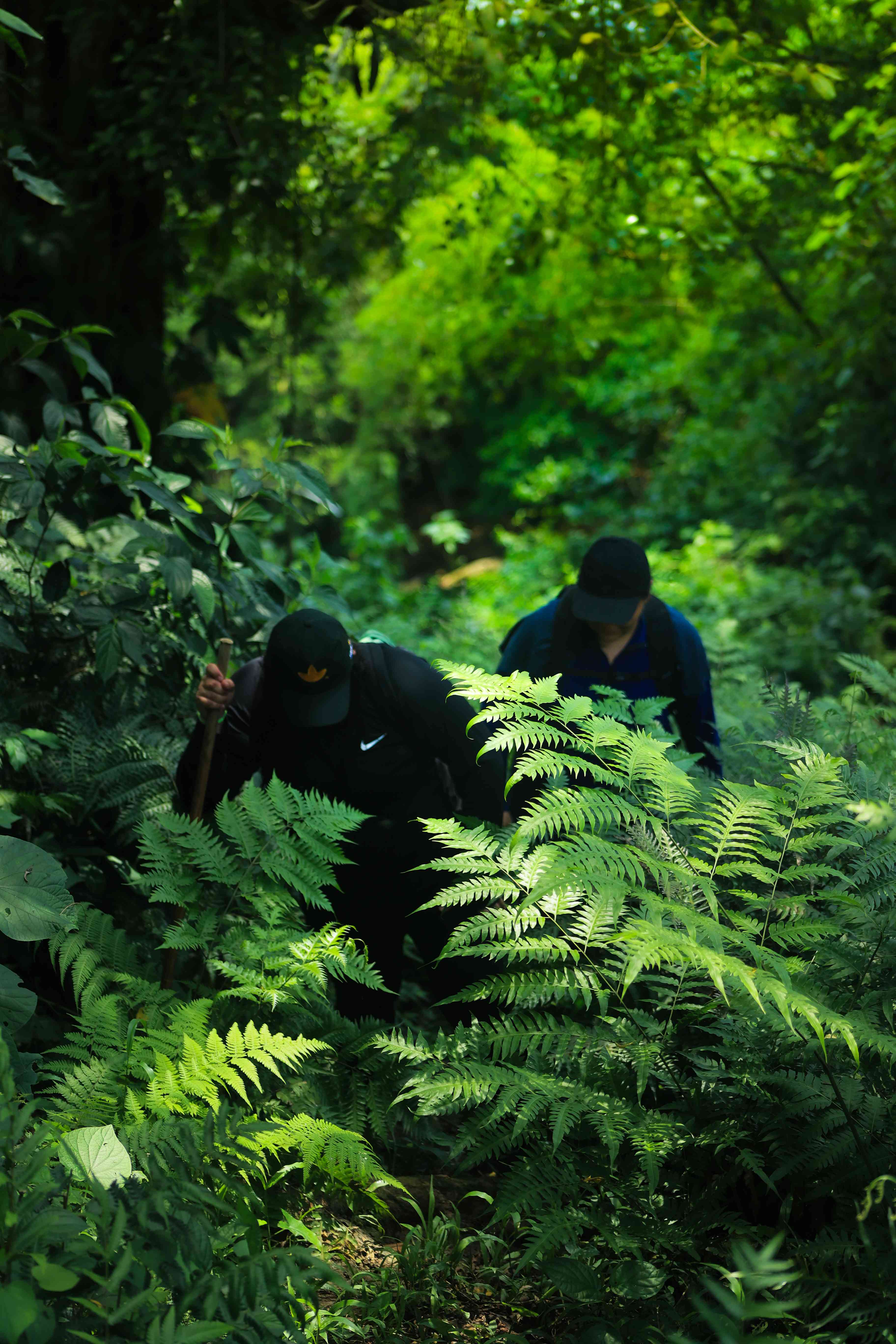 Cerro Verde Trails